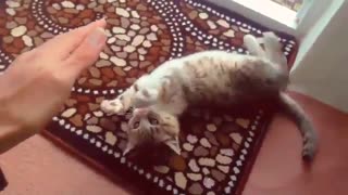 Michael Catson,s Practice To Sar Hadde Crazy _ گربه ی خوشگل ورزشکار تمرینات مایکل کتسون تا سر حد جنون (قسمت اول) کلیپ رحمان