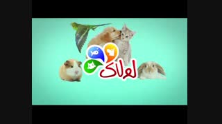 پت شاپ اینترنتی لولاک