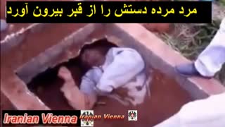 مُرده هایی که زنده شدند
