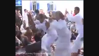 شاد باشین ولی حق ندارین به عربا توهین کنین