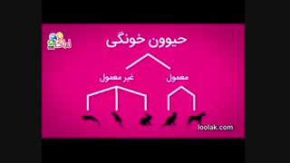 حیوون خونگی چیست؟ | لولاک