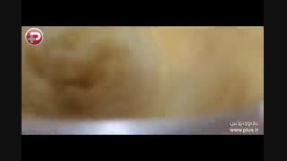 طرز تهیه شیرینی کشمشی