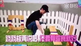 10 دقیقه خنده دار با سهون اکسو