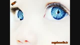 ****چالش شخصیت****شخصیتتون چجویه و شخصیتتون شبیه کدوم آدم معروفه؟ "جواب بدین "