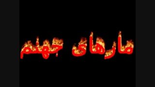 مارهای جهنم!وای چه وحشتناک خدا رحم کند.