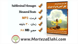 11 سابلیمینال