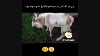وی به اختلال در سیستم ارتفاع سنج دچار بود :(