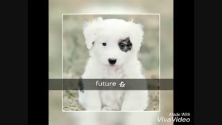 دوباره تبدیل ب زامبی شدم@_@