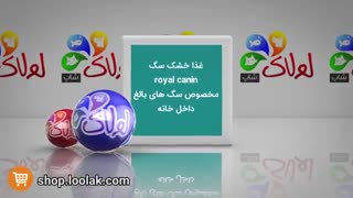 غذای خشک سگ رویال کنین مخصوص گربه های داخل خانه