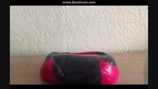 اسلایم لیدی باگی