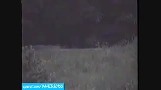 ظهور اجنه واقعی در جنگل های برزیل.....