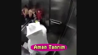 بچها دنبال شه تازه وارده:)))