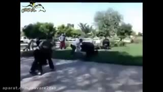 رجز خوانی و قمه کشی در پارک