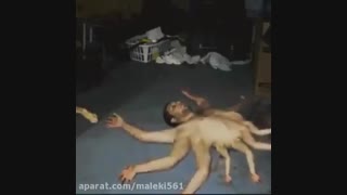مردی که چندتا دست دار!!