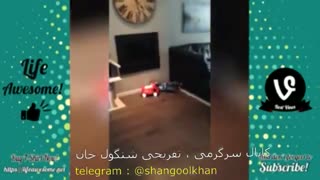 +18 حوادث عجیب ولی واقعی