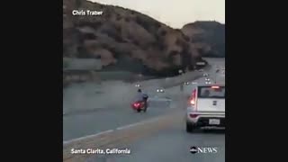 تصادف احمقانه