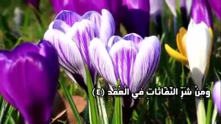 تلاوت قران کریم