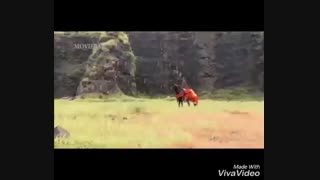 میکسی زیبا از جودا و جلال (مهدیه باشتنی)