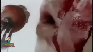 اگه ناهار نداشتین که بخورین این کار رو بکنین عالیه....