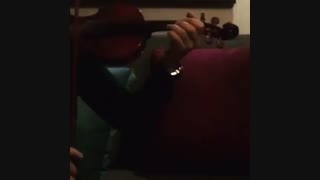 نیما علامه _ ویالون