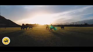 آنونس زیبای مسابقات مقدماتی جام جهانی چوگان