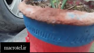 تست دوربین Galaxy A7 درmacrotel.ir