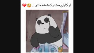 باز هم پاندا -×-