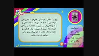 پوچ گربه رویال کنین - غذای اصلی گربه