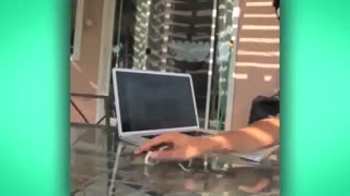 گفت و گو با زک کینگ