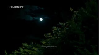 دانلود سریال اکیا قسمت 158 دوبله در کانال تلگرامی ما قرار گرفت