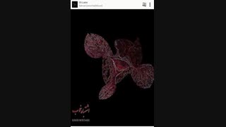 بهرام " لمس " ..رپ..
