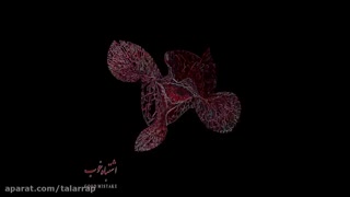 بهرام " ساز " عالی...