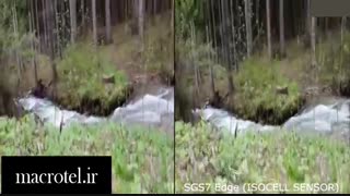 مقایسه دوربین Galaxy S7Edge vs S8 Plusدرmacrotel.ir