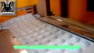 دستگاه ترموفرمینگ تمام اتوماتیک (وکیوم صنعتی)