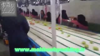 نوار نقاله انتقال و سورتینگ