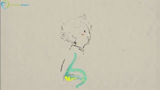 اثر کربوهیدارت ها بر سلامتی - فارسی در سیب اول