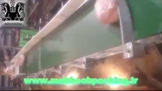 دستگاه سورتینگ مرغ و ماهی