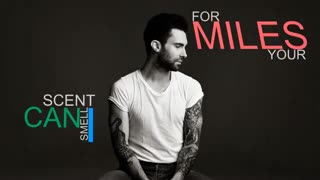 لیریکس آهنگ Animals از Maroon 5  ^.^  واووووووو