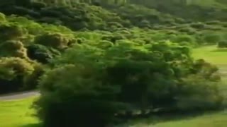 وایییی چه طبیعت زیباییی بچه هالطفاپلی شه