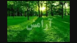 داشتیم موسیقی آرامش بخش گوش می دادیم که ناگهان....