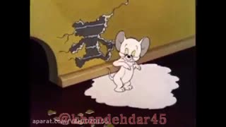 تام و جری دوبله محلی