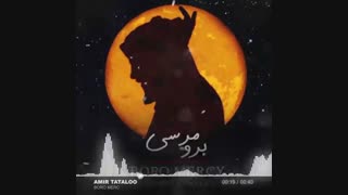 تتلو "برو مرسی"..انصافا خوبه...