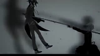 pandora hearts manga AMV