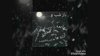باز شب و...