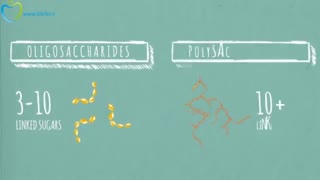 تاثیر کربوهیدارت ها بر سلامتی - به زبان فارسی در سیب تل