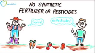 آیا واقعا خوردن غذاهای ارگانیک مفید است-به زبان فارسی در سیب تل