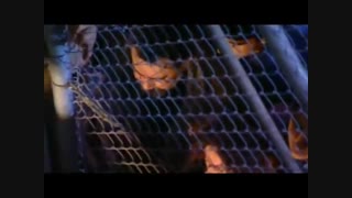 می ترسم - احمد کایا