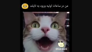 من در ساعات اولیه ی ورود به تایلند :)