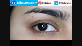 لنز رنگی لومینوس  گری| DibaLens.com- Luminous Gray