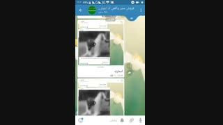 خرید ممبر ارزان